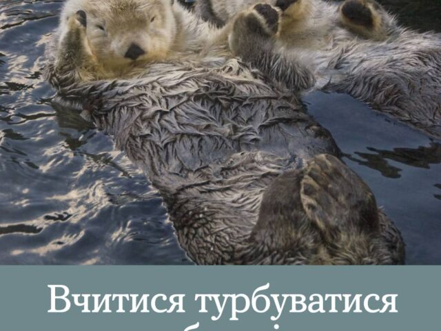 Добре бути собі та іншим підтримкою. А щоб стати ще стійкішою і міцнішою опорою — навчайся з «Ти як?»
