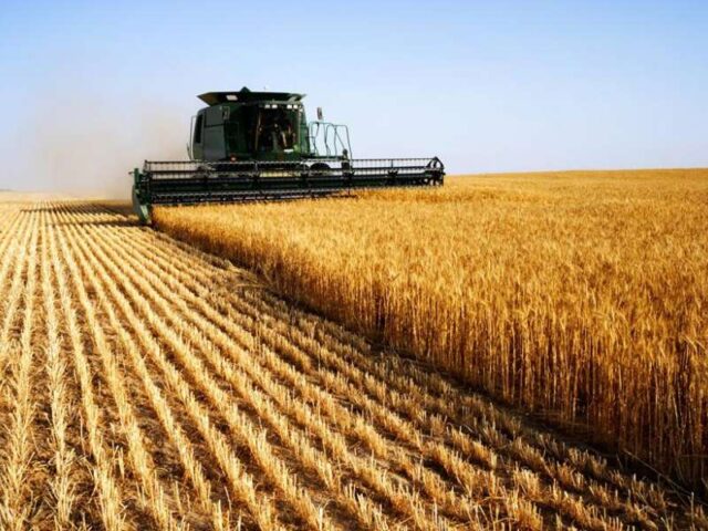 Аграріями Вінниччини намолочено 3 млн тонн зерна