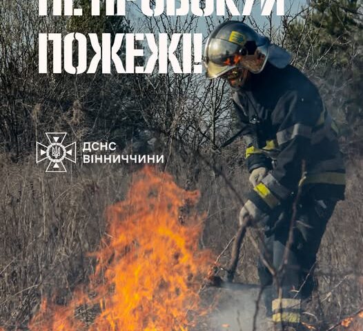 З настанням тепла люди починають наводити лад на подвір’ях, городах і присадибних ділянках. Однак нерідко для прибирання сухої трави та торішнього листя обирають небезпечний спосіб — спалювання.