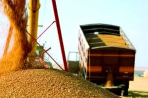 Польща спростить контрольні процедури для української аграрної продукції, – Свириденко