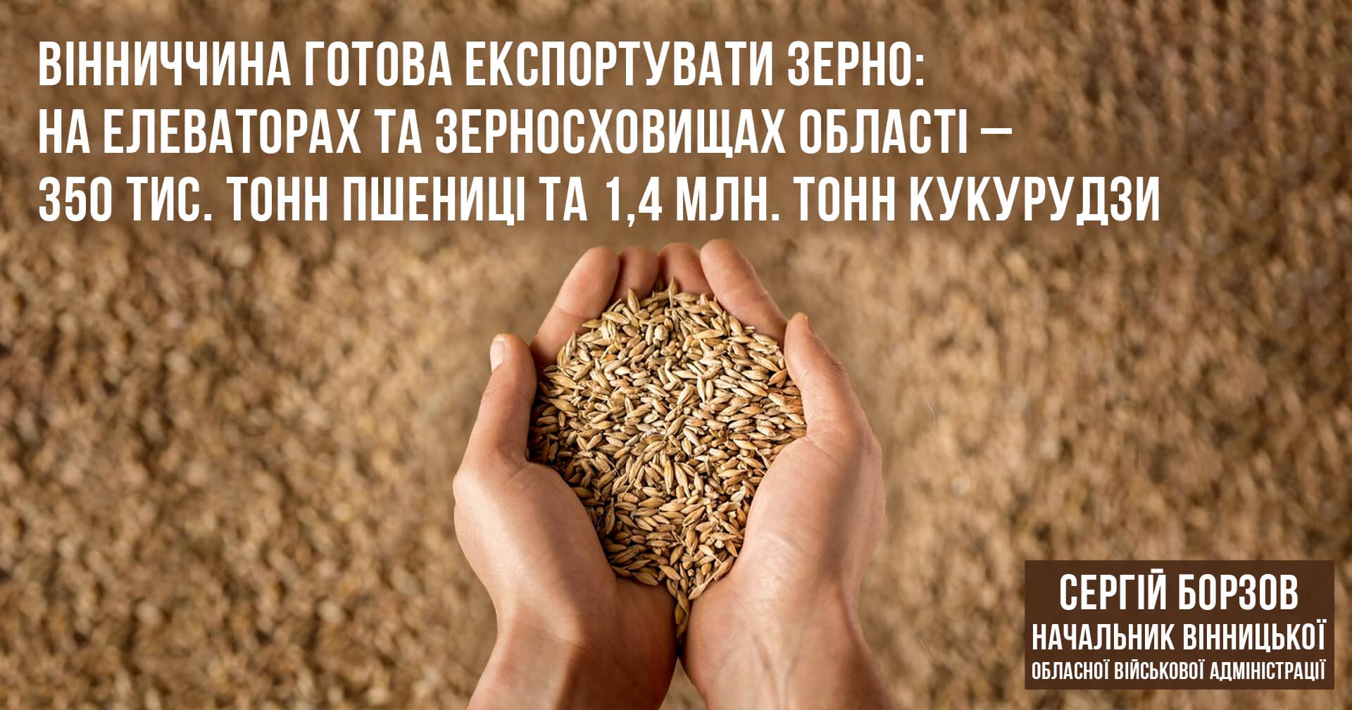 Експорт зерна: чого чекати вінницьким аграріям?