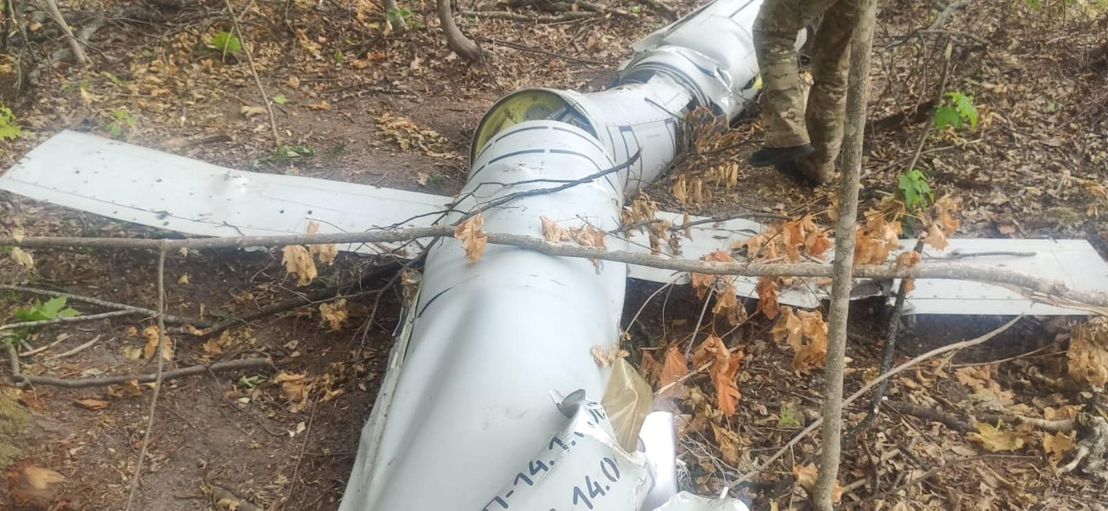 На Вінниччині лісничі знайшли збиту ракету «Калібр» – Командування Повітряних Сил ЗСУ