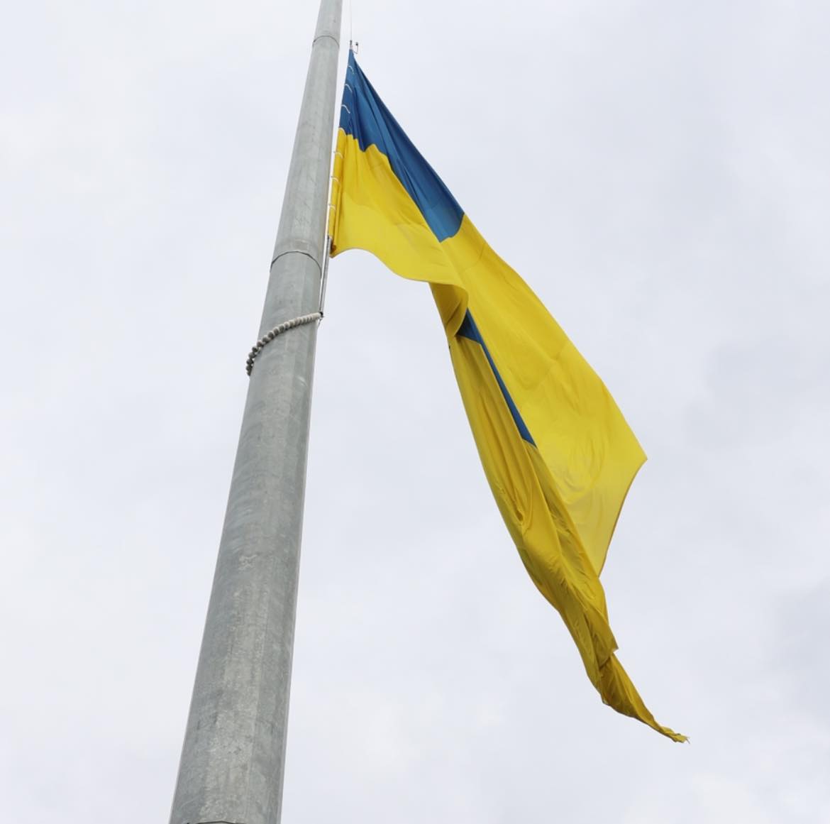 Наш синьо-жовтий стяг – це Прапор Перемоги! – Сергій Борзов