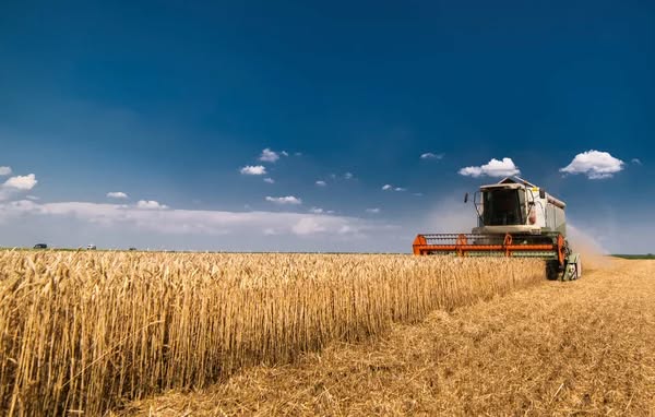 На Вінниччині тривають осінньо-польові роботи