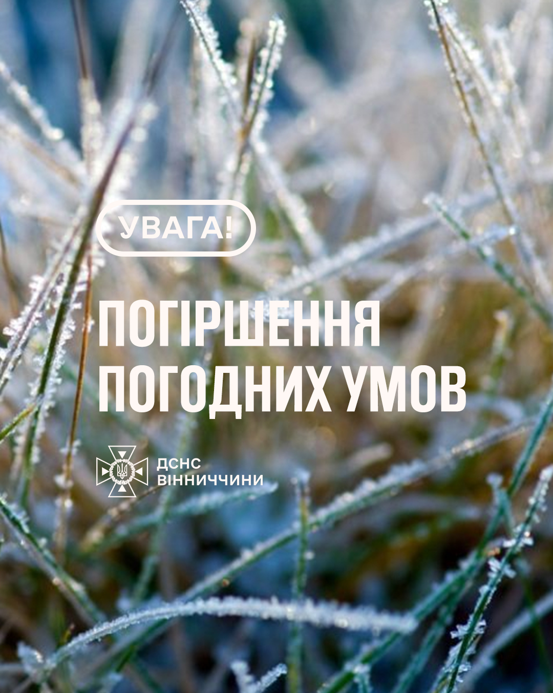 Рятувальники Вінниччини повідомляють, що 27 вересня вночі в області очікуються заморозки на поверхні ґрунту 0-2°, 1-й рівень небезпечності – жовтий.
