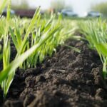 Аграрії Вінниччини активно проводять весняно-польові роботи