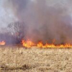 РЕКОМЕНДАЦЇ Жмеринського районного управління цивільного захисту та превентивної діяльності ГУ ДСНС України у Вінницькій області щодо забезпечення протипожежного стану сільськогосподарських угідь під час достигання, збирання та зберігання врожаю в умовах воєнного стану.