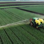 Нова державна підтримка аграріїв: компенсація витрат за закуплені мінеральні добрива