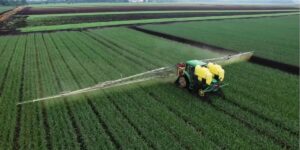 Нова державна підтримка аграріїв: компенсація витрат за закуплені мінеральні добрива