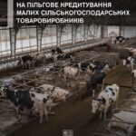 Стартує прийом заявок на пільгове кредитування малих сільськогосподарських товаровиробників.