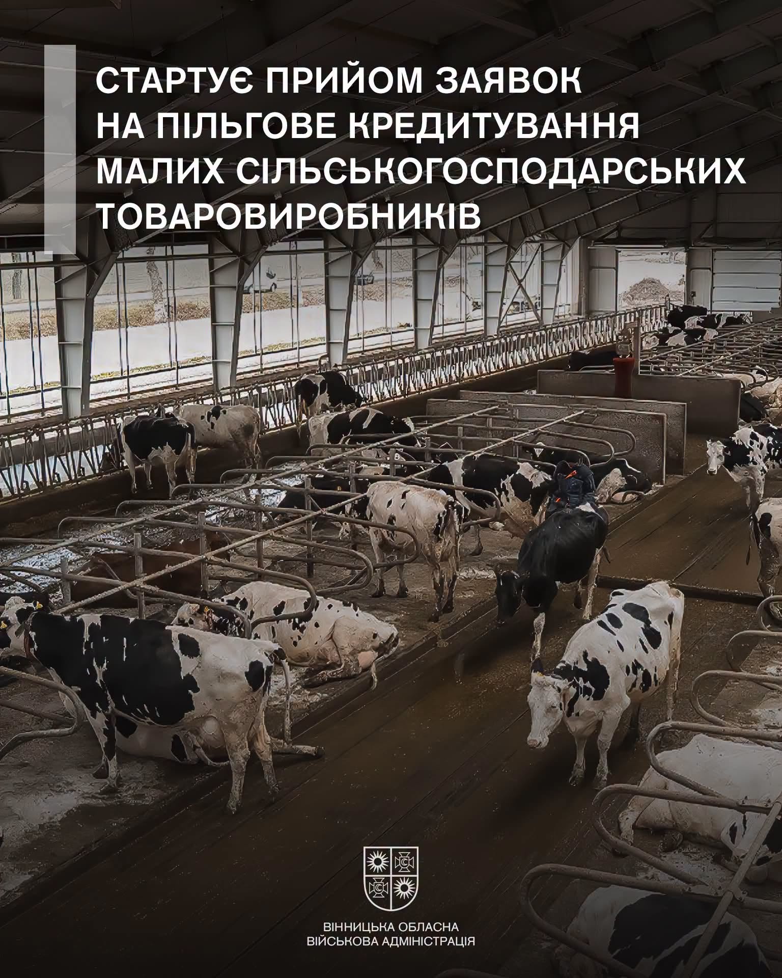 Стартує прийом заявок на пільгове кредитування малих сільськогосподарських товаровиробників.