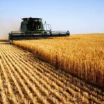 На Вінниччині стартували жнива-2026: аграрії розпочали збирання озимого ячменю