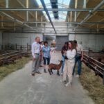 Блогери з різних міст України відкрили туристичні перлини Вінниччини під час промотуру «Подорож за враженнями»