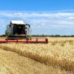 Аграрії Вінниччини розпочали жнива – один з ключових етапів у вирощуванні сільськогосподарських культур