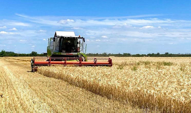 Аграрії Вінниччини розпочали жнива – один з ключових етапів у вирощуванні сільськогосподарських культур